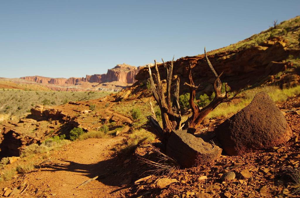 2011_09_25_17_44_10_1