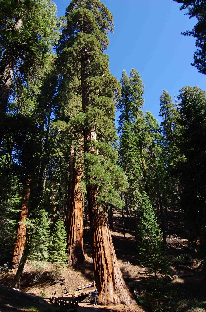 2011_10_09_22_57_56_1