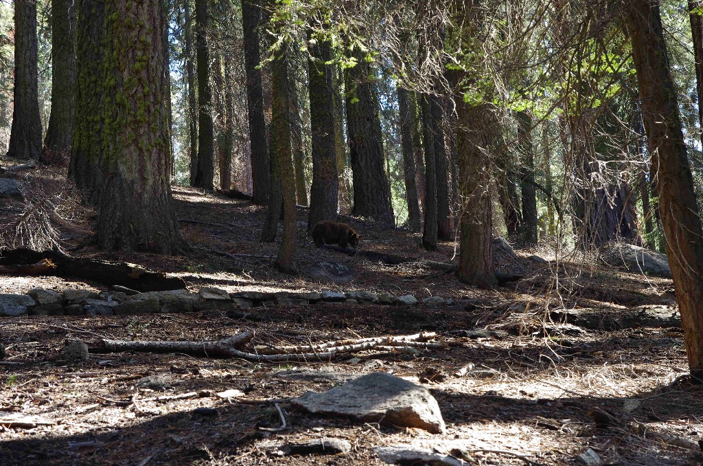 2011_10_09_23_46_46_1